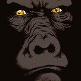 MachineGunFunk MachineGunFunk