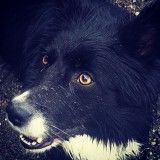 madeinlove madeinlove