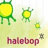 Halebop