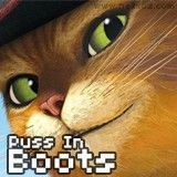 PussInBoots