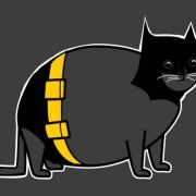 Batcat