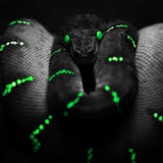 blackorgreen